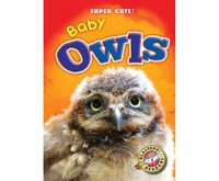 Baby_Owls
